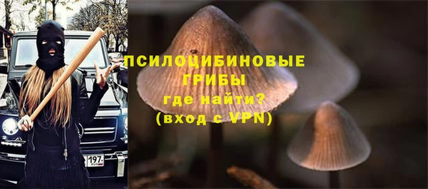 сатива Белоозёрский