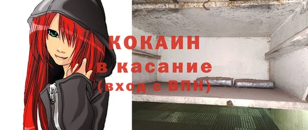 сатива Белоозёрский